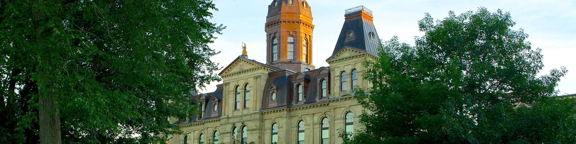 Fredericton featuring a garden