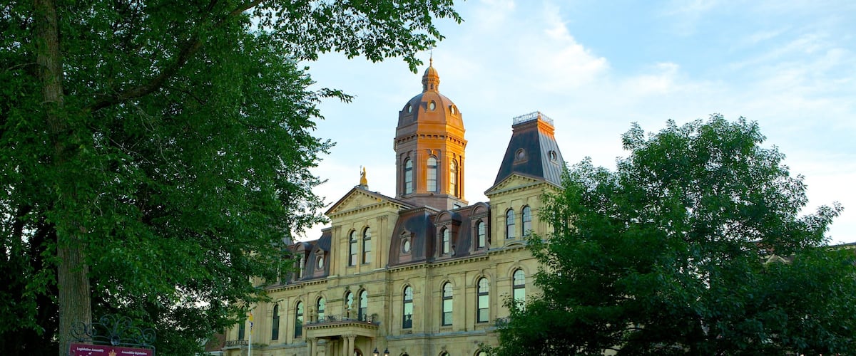 Fredericton showing a park