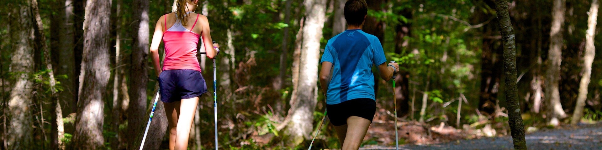 Fredericton welches beinhaltet Wandern oder Spazieren und WĂ€lder sowie kleine Menschengruppe