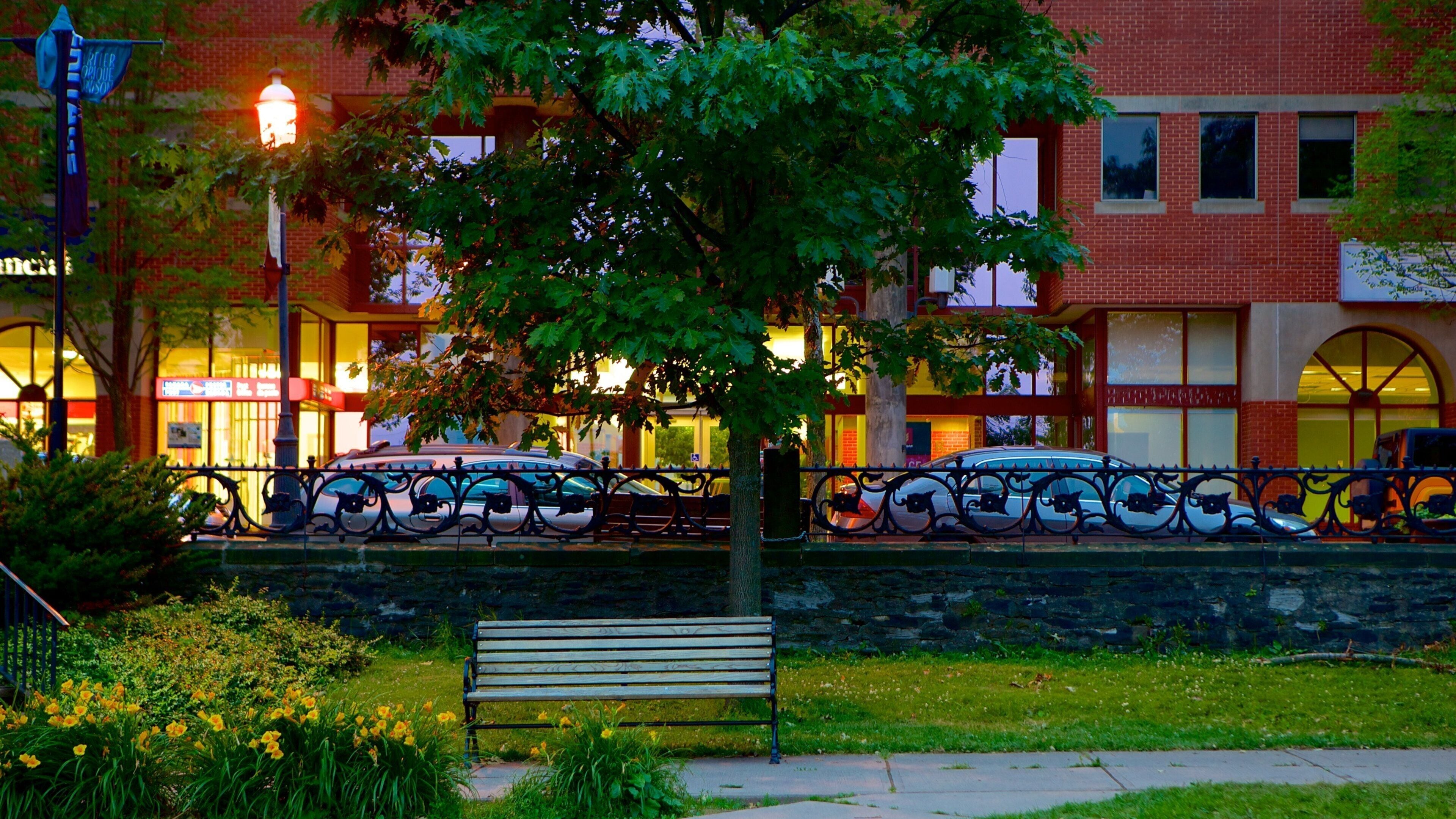 Fredericton showing a garden