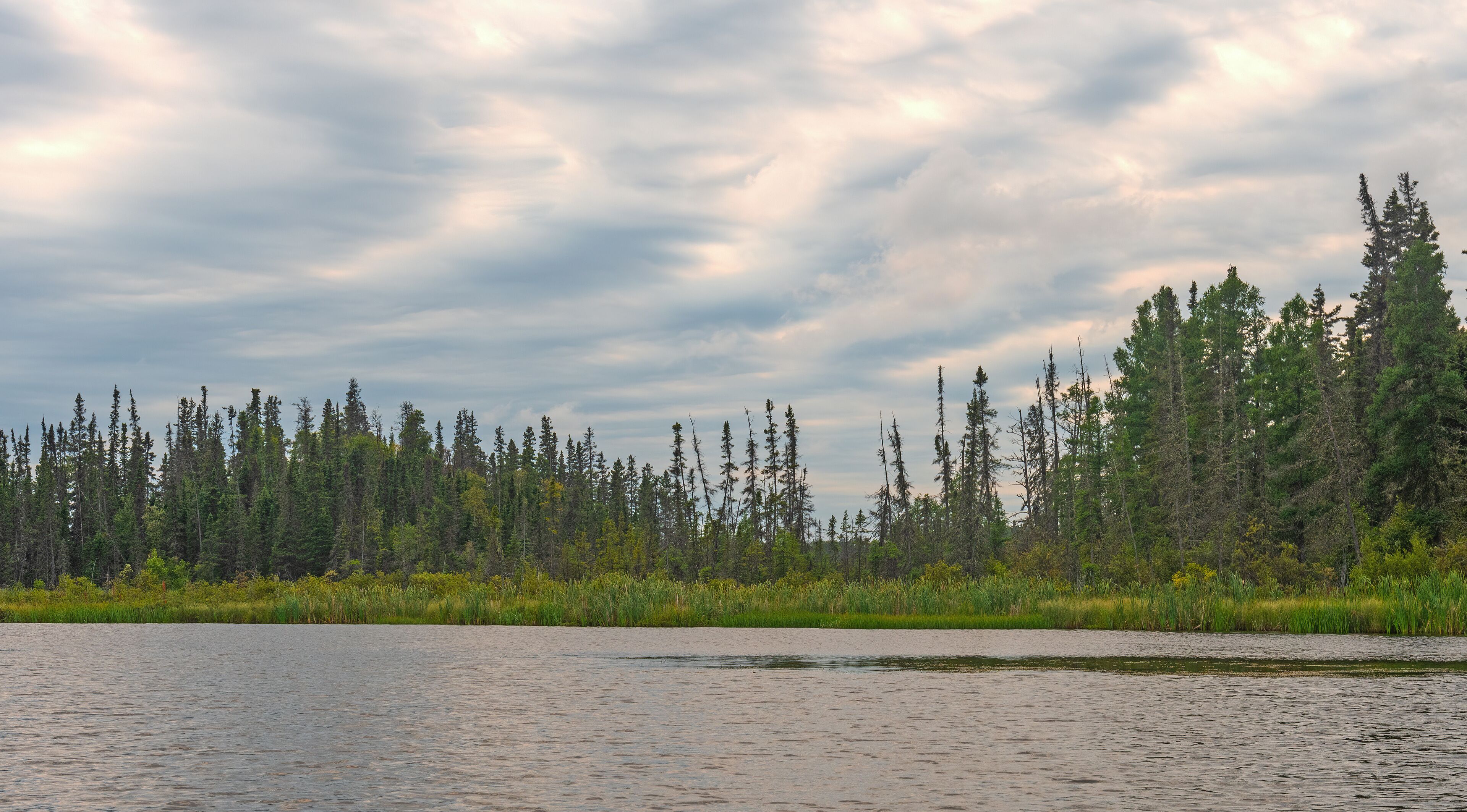 A lake surrounded by dense forest and a cloudy sky.