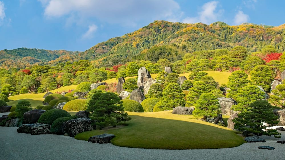 A landscaped garden with neatly trimmed trees, rocks, and a hill in the background.