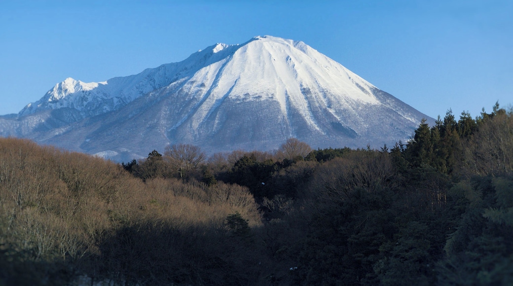The NW side of Daisen volcano.