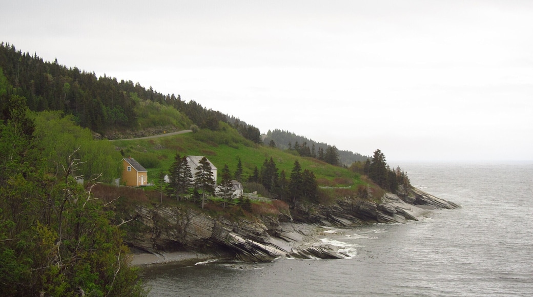 Forillon National park is great for an adventurous hike on bear and elk territory. Beside reaching the land's end of Cape Gaspé, one can also hike along the coast and enjoy these lost and emptied houses of an former fishing town. #TakeAHike
