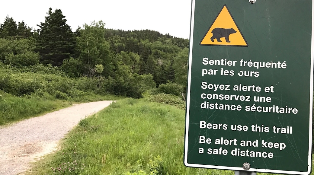 The starting point to walk to the Land's End. The warning is for real! #TakeAhike this traill leafs to the Gaspe lighthouse on top of the cliff. Beautiful view of the ocean, and many other smaller trails