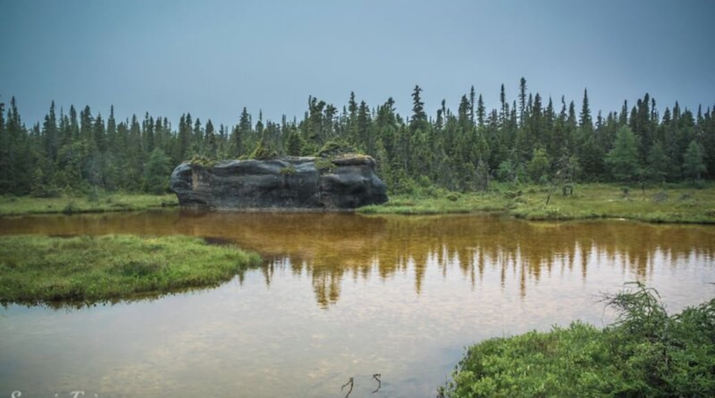 Île Quarry, a small island in the Mingan Archipelago in Côte Nord is the perfect summer getaway.