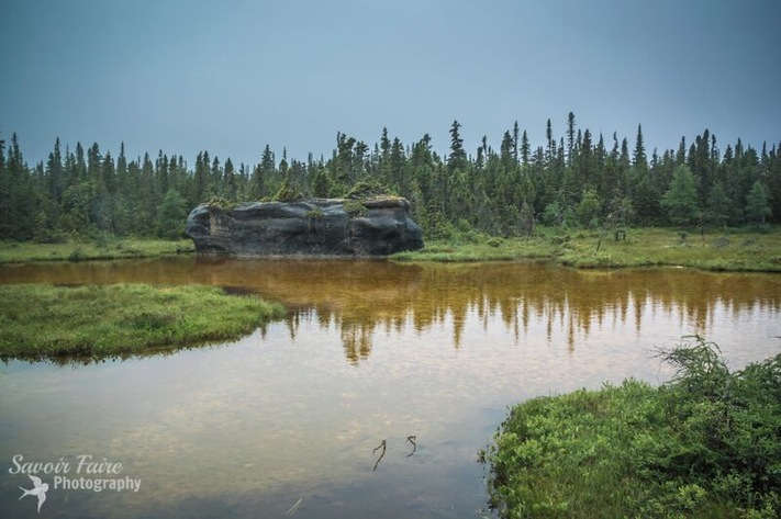 Île Quarry, a small island in the Mingan Archipelago in Côte Nord is the perfect summer getaway.