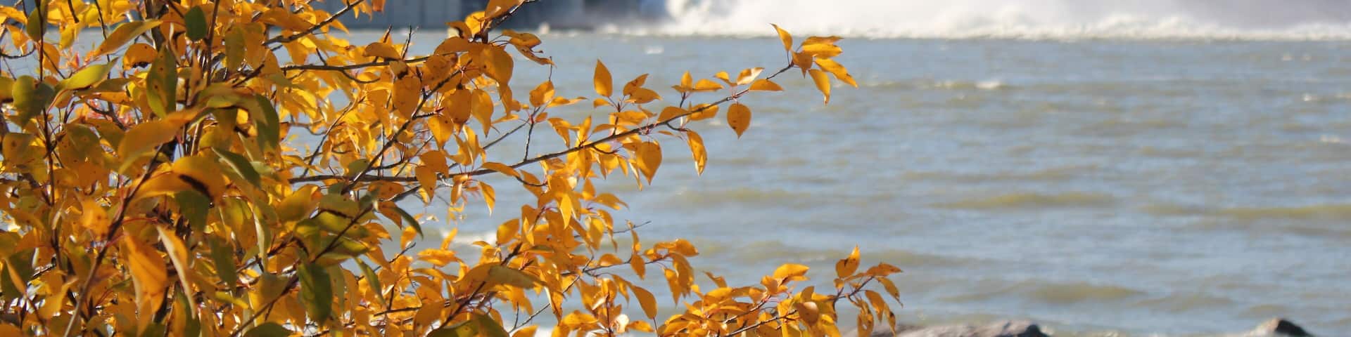 Impressive Hydroelectric dam spillway with water spewing and clouds of spray mist over the river, all with the focus on a tree in the foreground wearing it's autumn leaves
