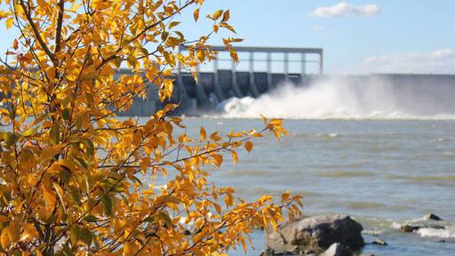 Impressive Hydroelectric dam spillway with water spewing and clouds of spray mist over the river, all with the focus on a tree in the foreground wearing it's autumn leaves