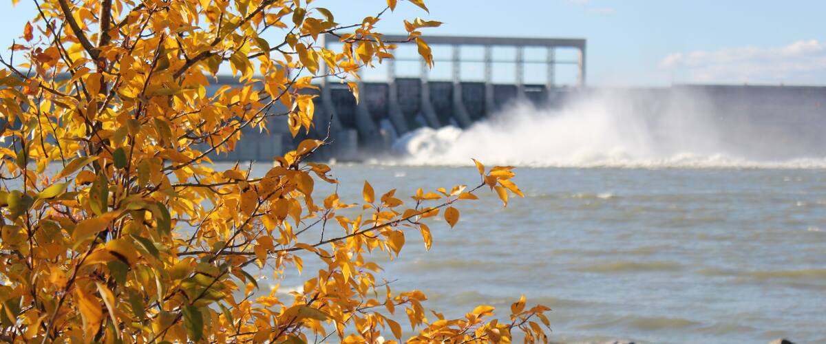 A bridge over a river with autumn leaves and waves crashing against rocks.