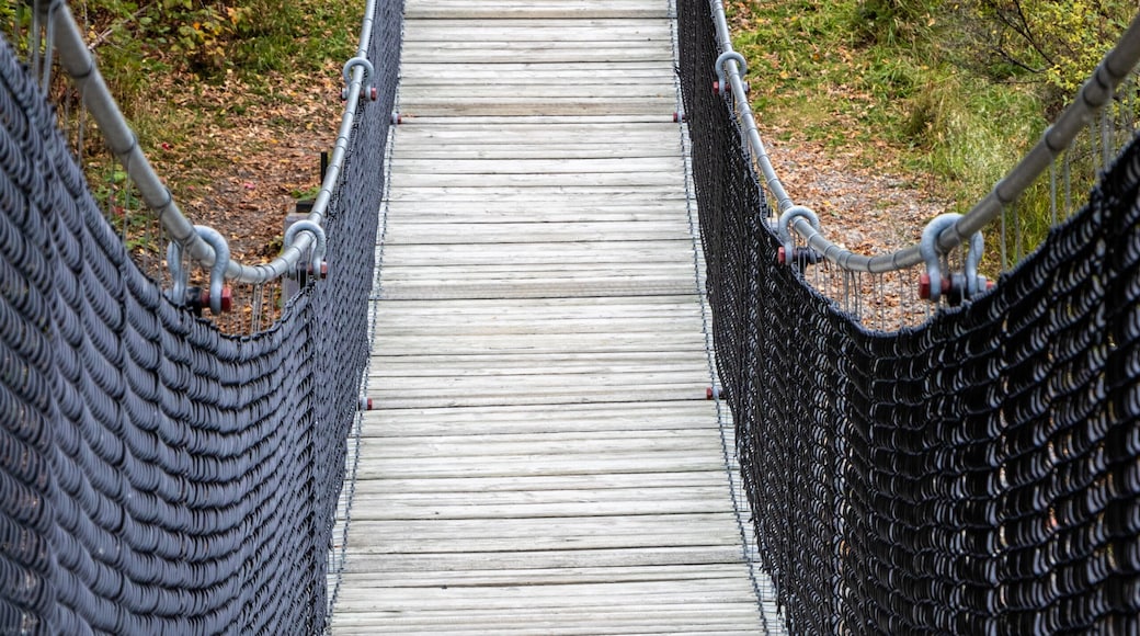 Roy Wilson Suspension Bridge in Dryden, Ontario, Canada in October