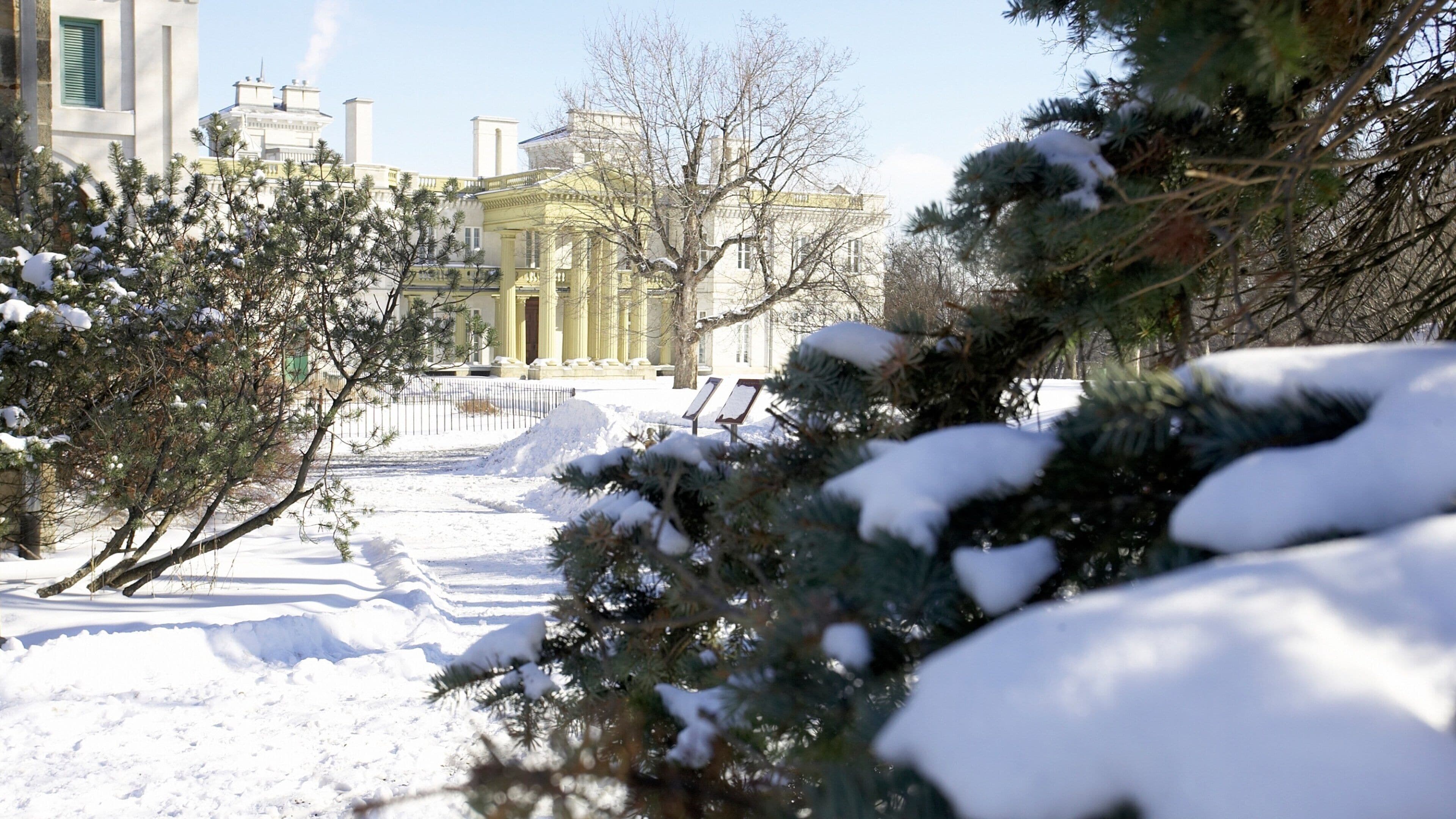 Hamilton which includes snow