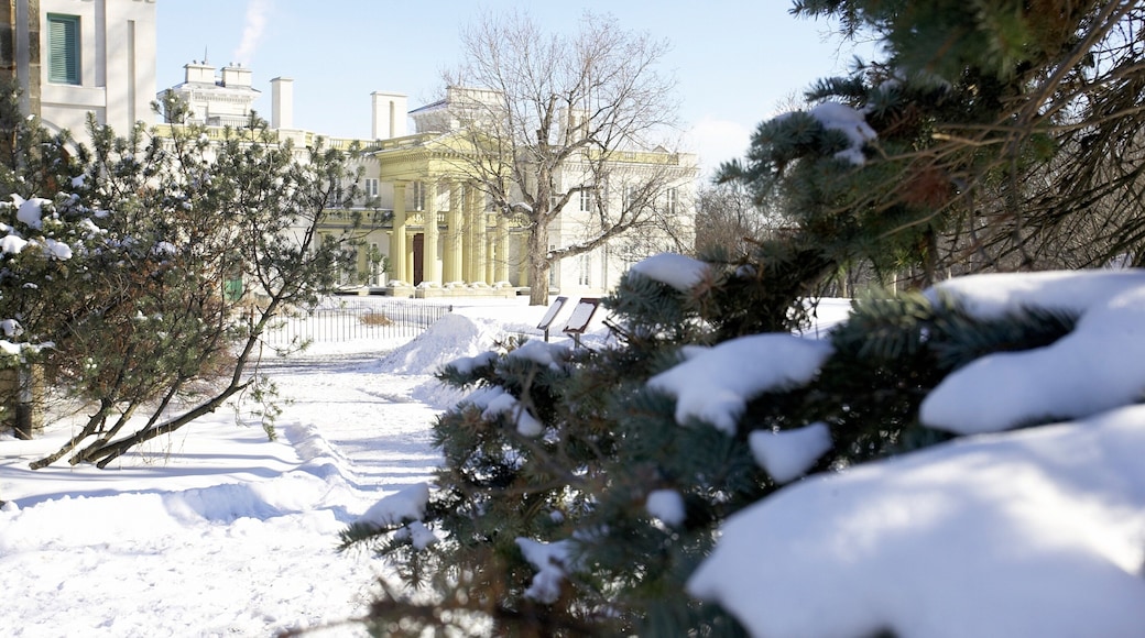 Hamilton que inclui neve