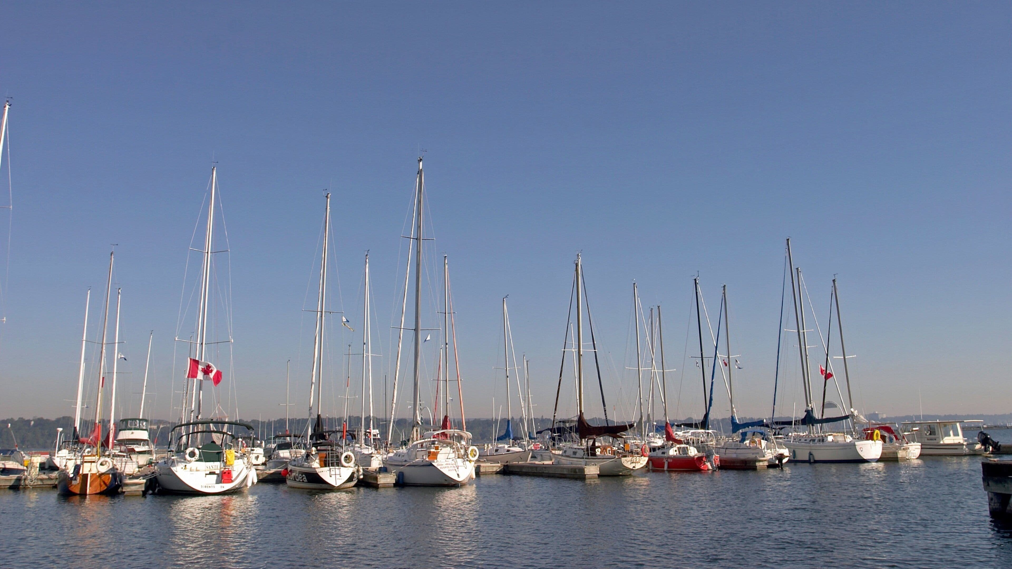 Hamilton showing boating, sailing and general coastal views
