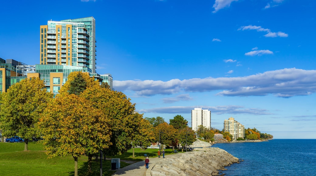 A waterfront promenade with a stone wall, autumn trees, and modern buildings.