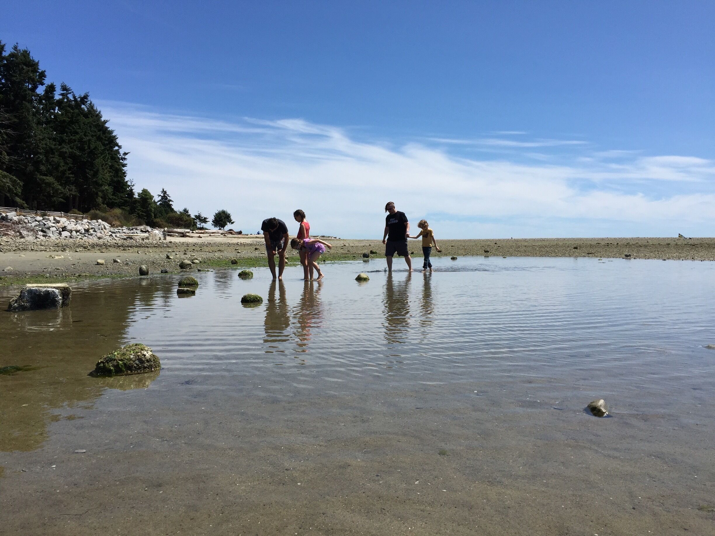 Davis Bay BC at low tide. #waterlust