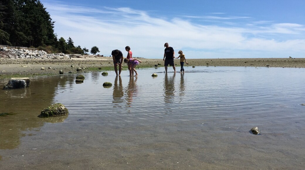Davis Bay BC at low tide. #waterlust