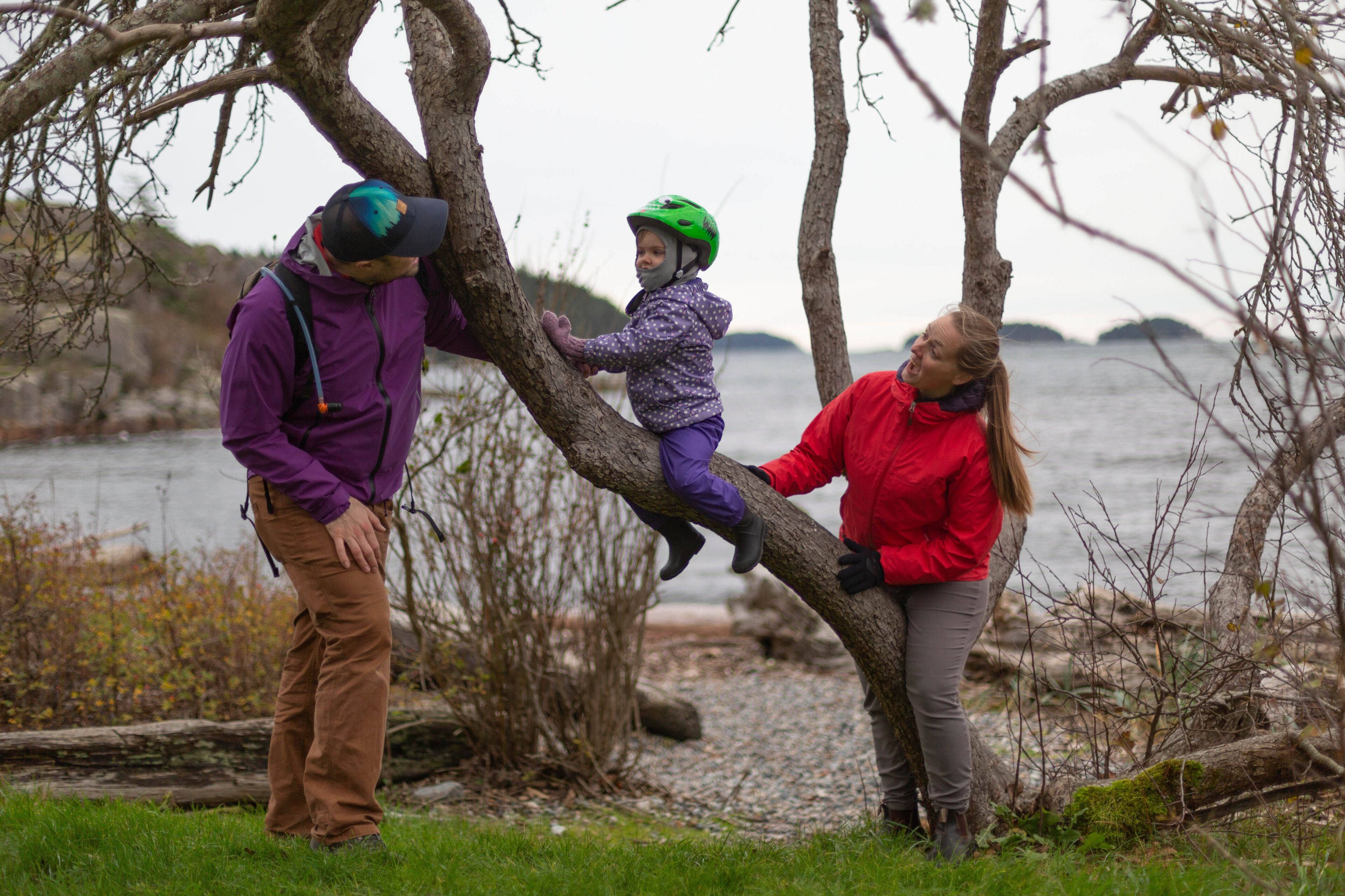 Parents play with young daughter as she climbs a tree, Pacific Ocean and coastline of the Sunshine Coast viewed in the background; British Columbia, Canada