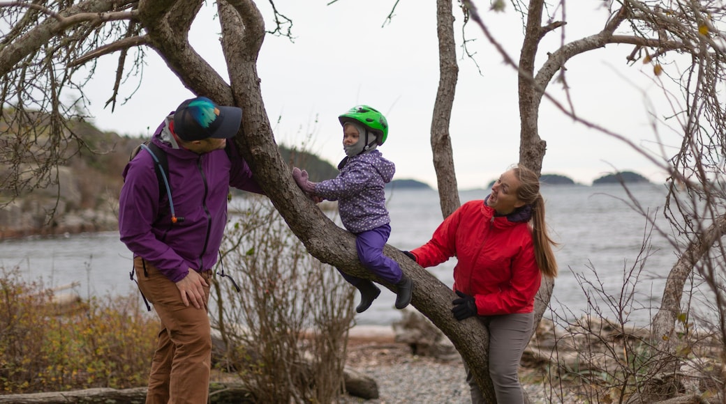 Parents play with young daughter as she climbs a tree, Pacific Ocean and coastline of the Sunshine Coast viewed in the background; British Columbia, Canada