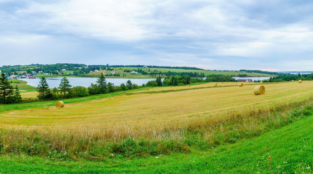 Countryside and haystacks near French River, PEI
