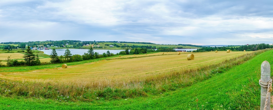 Countryside and haystacks near French River, PEI