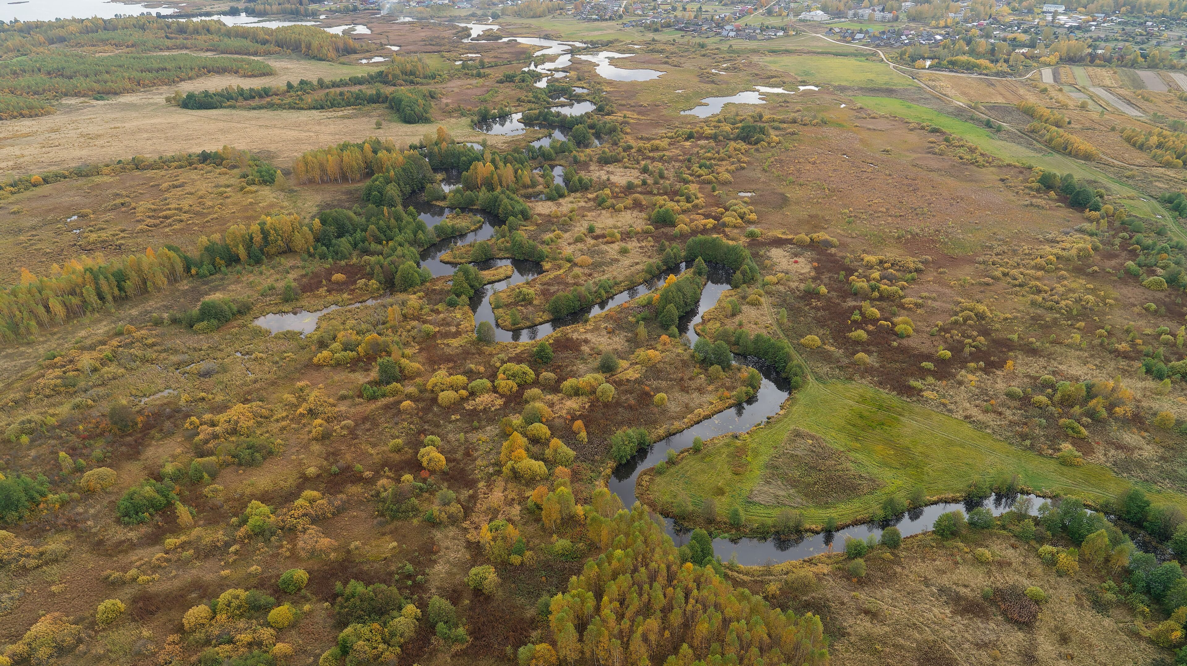 River runs through a field of tall grass and trees