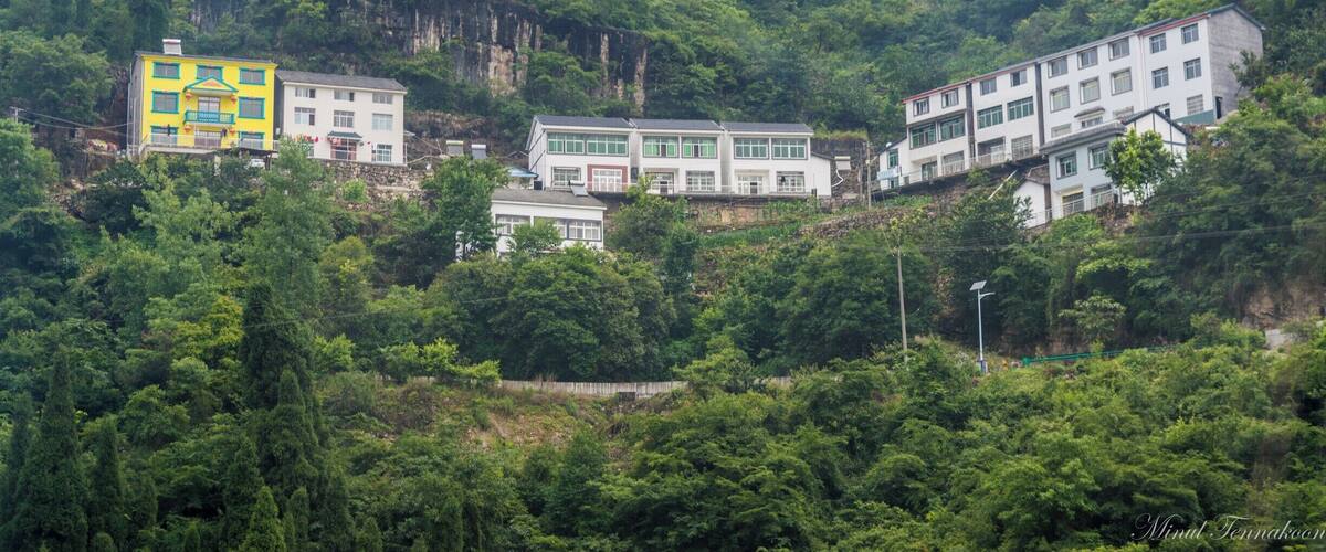 A hillside with buildings nestled among dense green trees.