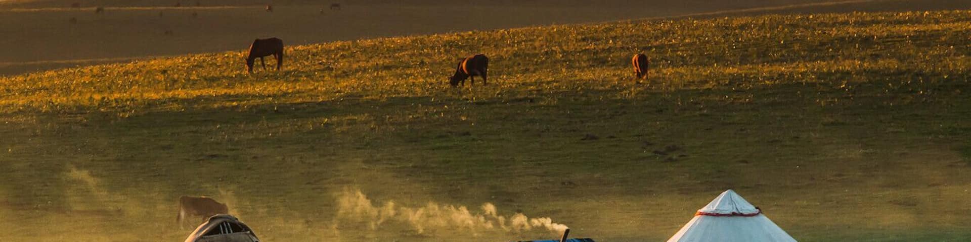 #Ili Grassland in the #Xinjiang Uygur Autonomous Region of China.
#北疆伊犁草原.
https://twitter.com/Beautifulgx