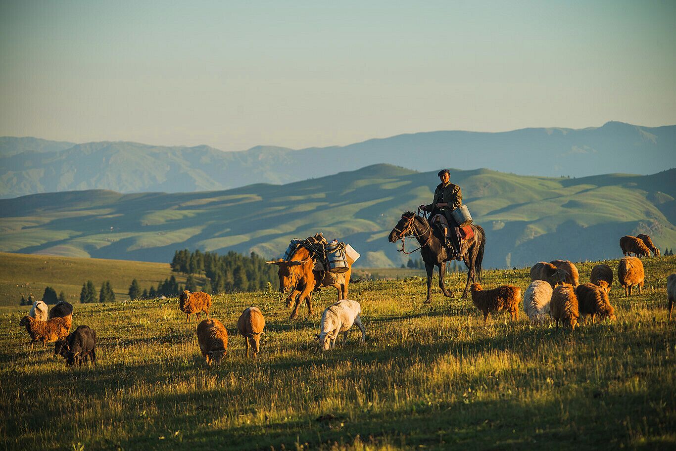 #Ili Grassland in the #Xinjiang Uygur Autonomous Region of China.
 #北疆伊犁草原.

https://twitter.com/Beautifulgx