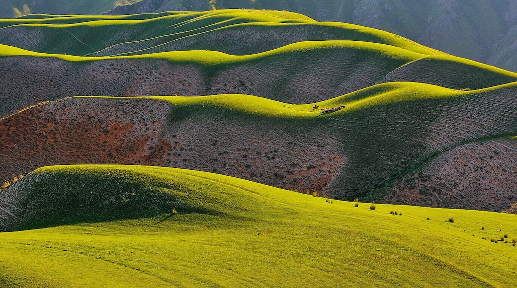 #Ili Grassland in the #Xinjiang Uygur Autonomous Region of China.
#北疆伊犁草原.
https://twitter.com/Beautifulgx