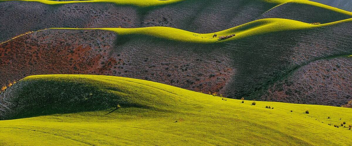 #Ili Grassland in the #Xinjiang Uygur Autonomous Region of China.
#北疆伊犁草原.
https://twitter.com/Beautifulgx