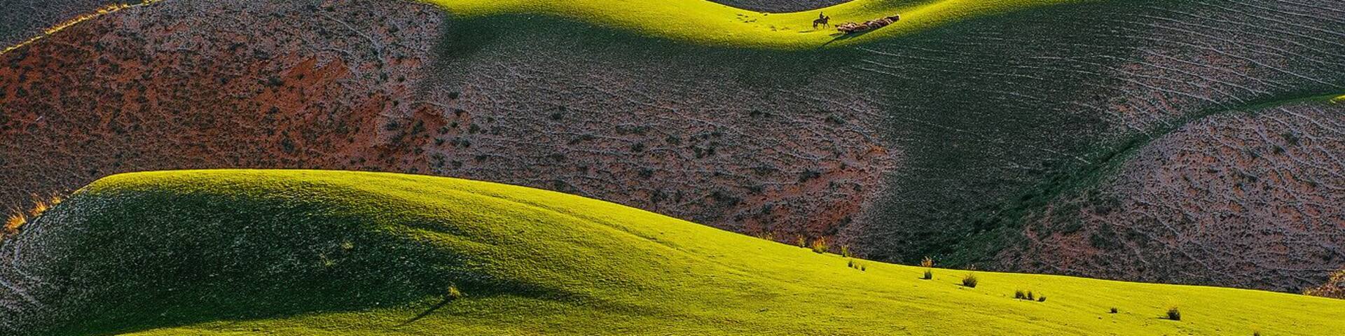 #Ili Grassland in the #Xinjiang Uygur Autonomous Region of China.
#北疆伊犁草原.
https://twitter.com/Beautifulgx