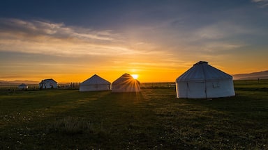 Yurtas en un campo de hierba con el sol poniéndose al fondo.