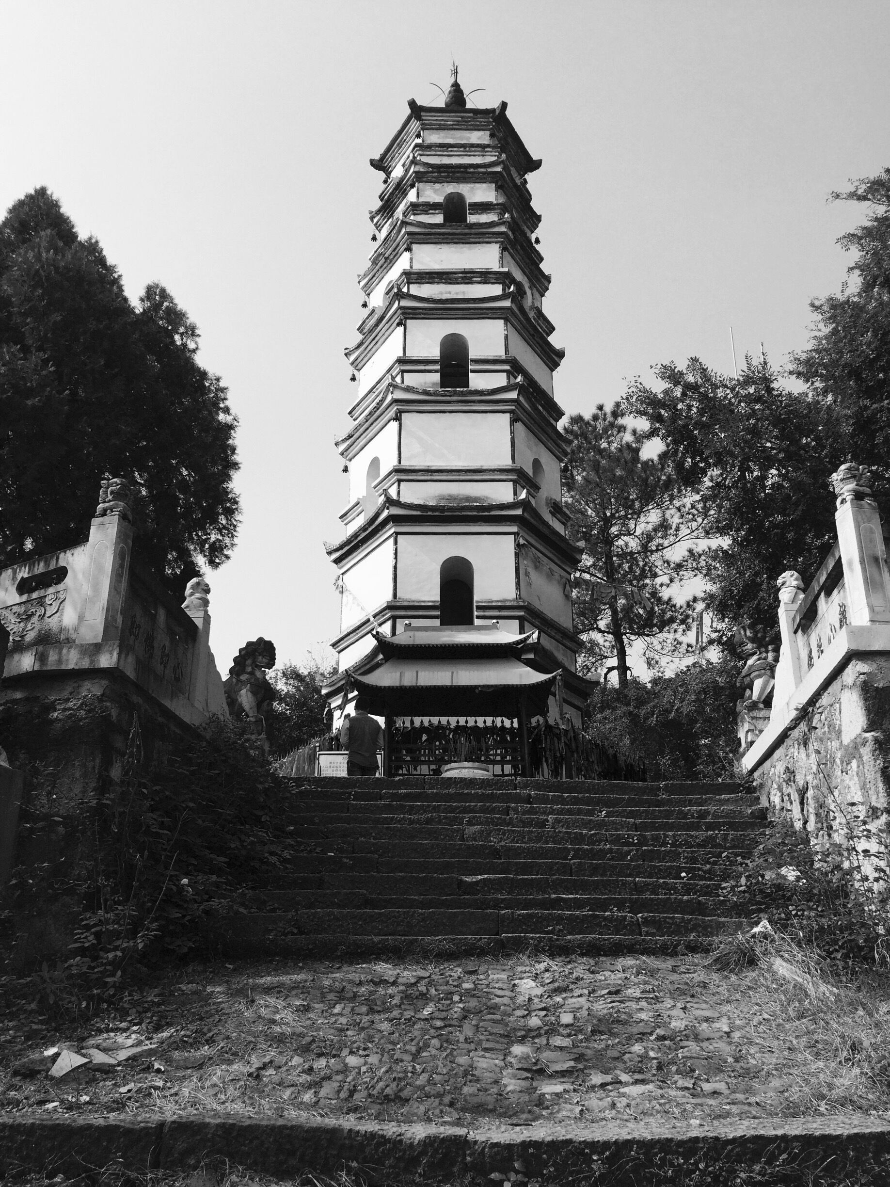 After several hours of searching for a way up, I finally managed to find this at the top of Shiniu Mountain. 