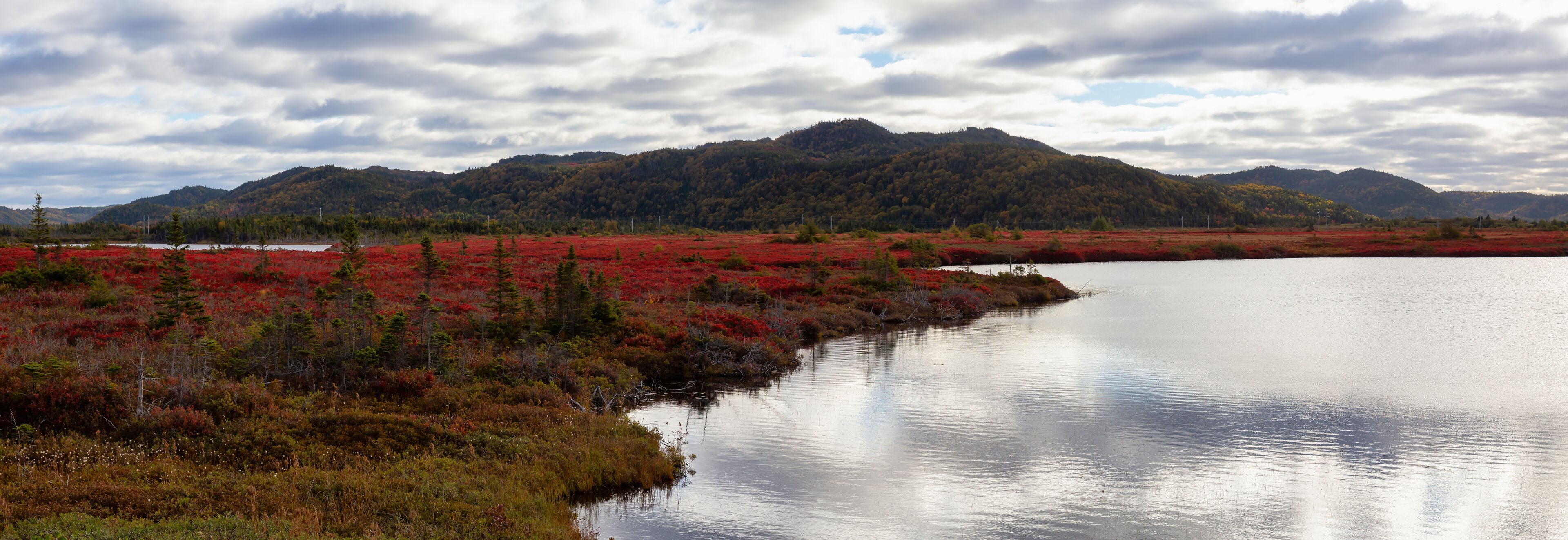 Panoramic view of a beautiful Canadian Landscape during a vibant sunny day in Fall Season. Taken in Stephenville, Newfoundland, Canada.