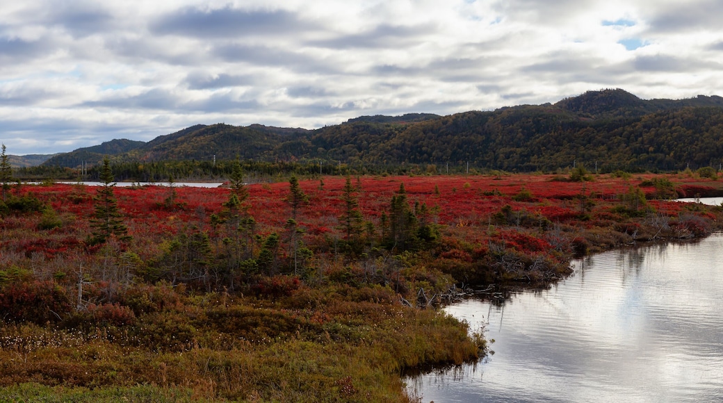 Panoramic view of a beautiful Canadian Landscape during a vibant sunny day in Fall Season. Taken in Stephenville, Newfoundland, Canada.