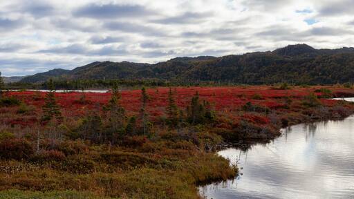 Panoramic view of a beautiful Canadian Landscape during a vibant sunny day in Fall Season. Taken in Stephenville, Newfoundland, Canada.