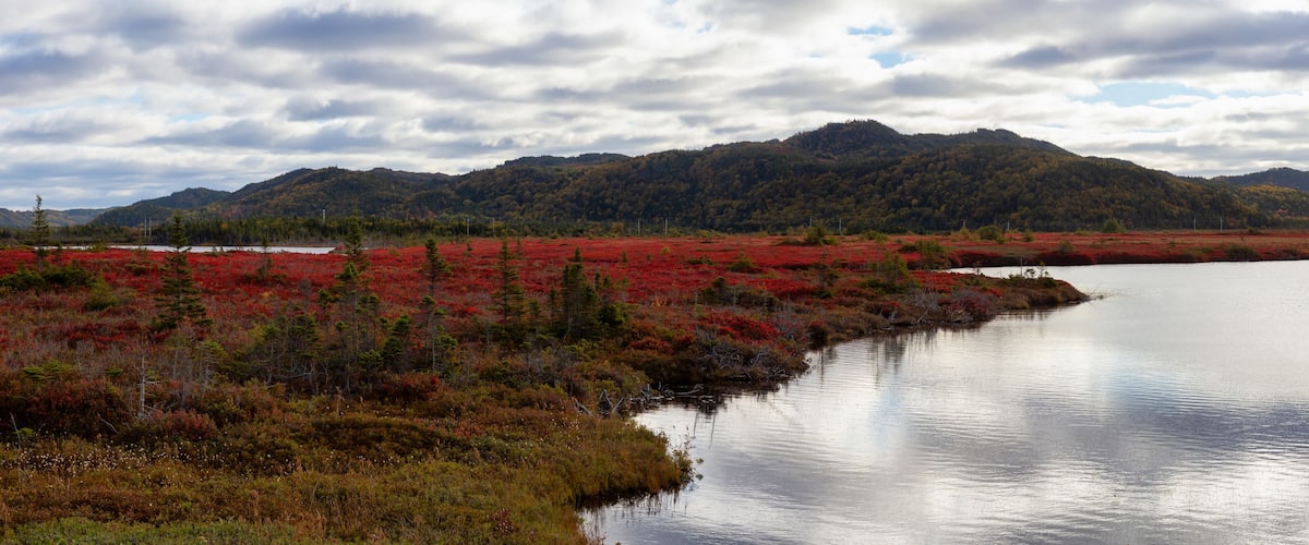 A lake surrounded by red vegetation and a forested mountain range.
