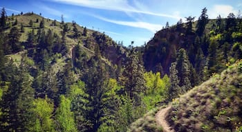 Hiking in Peterson Creek. Lots of trails to explore for every skill level.