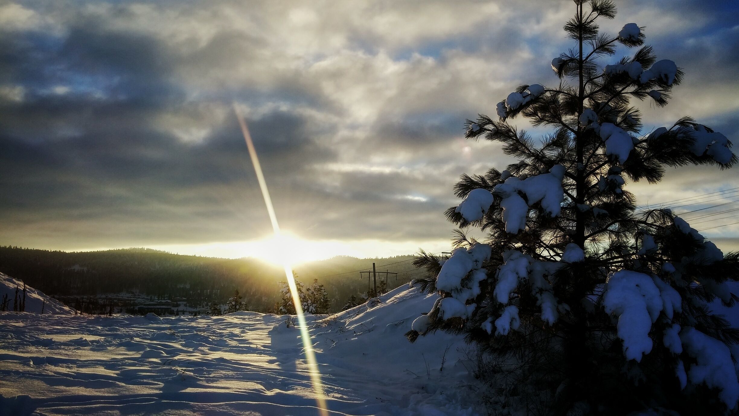 Atop Mt. Dufferin at Kenna Cartwright Park. This mountain park is home to several trails some stretching over 10K in length. In the winter you will find mostly hikers and fat bikes cruising through the trails and in the summer it's shared between hikers and mountain bikers. There is a washroom located near one of the lookout points with a few scattered picnic tables and gazebos. This is a dog friendly park and is open year round.