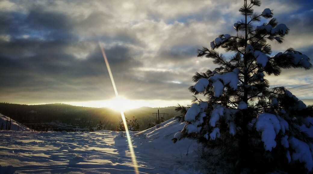 Atop Mt. Dufferin at Kenna Cartwright Park. This mountain park is home to several trails some stretching over 10K in length. In the winter you will find mostly hikers and fat bikes cruising through the trails and in the summer it's shared between hikers and mountain bikers. There is a washroom located near one of the lookout points with a few scattered picnic tables and gazebos. This is a dog friendly park and is open year round.