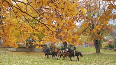 Kamloops which includes fall colors, a park and horseriding