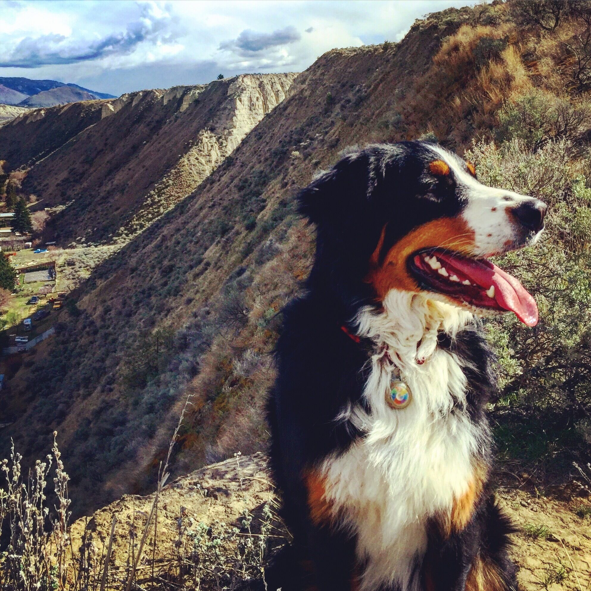 Great hiking trails wind their way all throughout the hills here making for a new adventure every time #hike #exploreBC #naturalbeauty