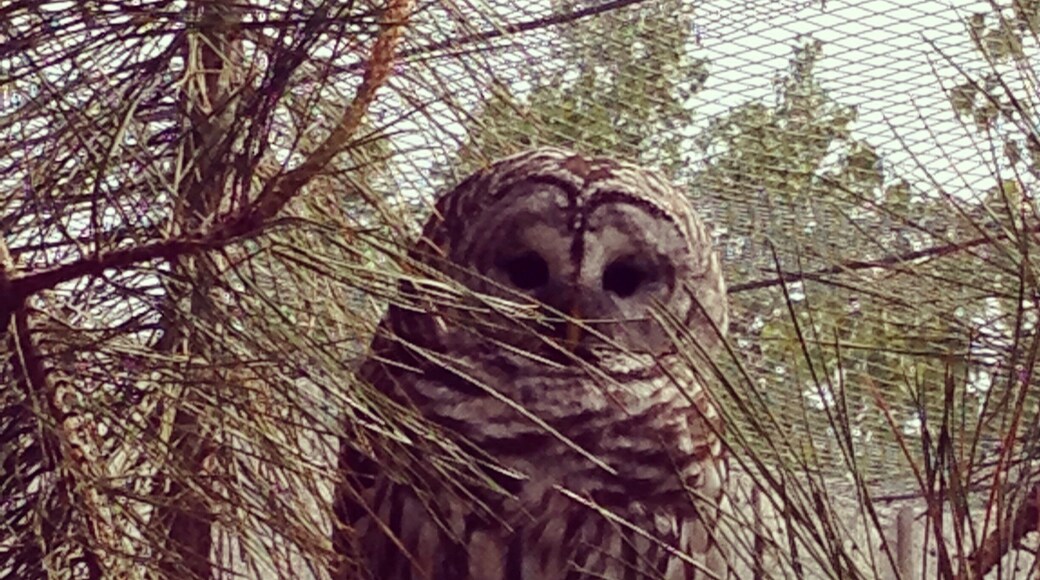 Not a bad park but not great either. Super small than what I was expecting.