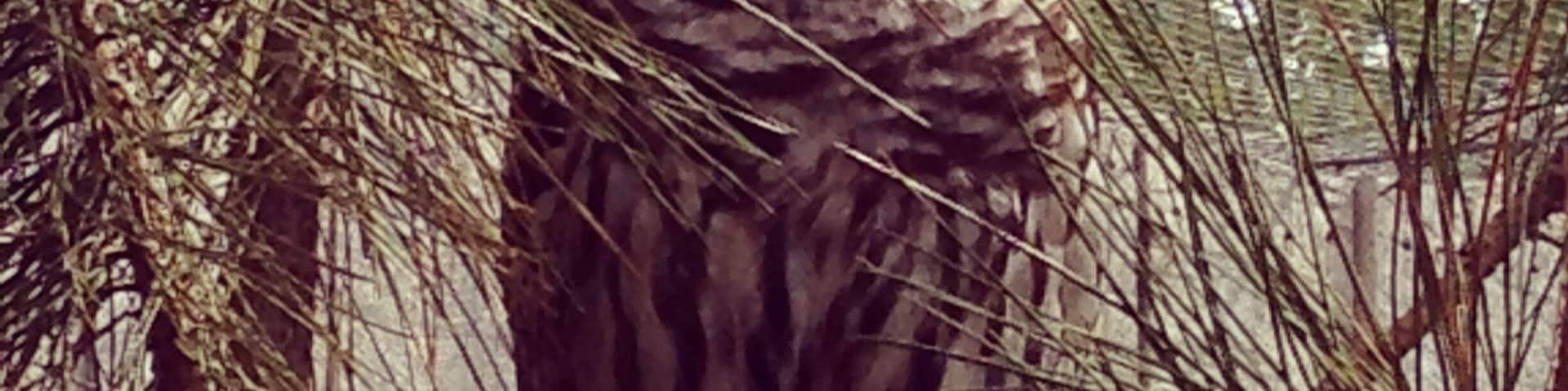 Not a bad park but not great either. Super small than what I was expecting.