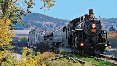 Uma locomotiva a vapor com o número 2141 sobre trilhos, com uma paisagem montanhosa ao fundo.