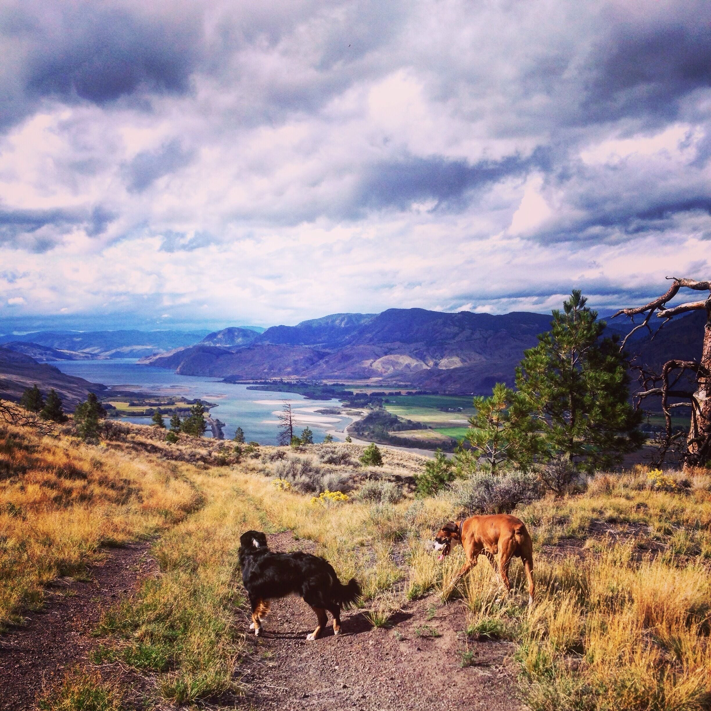 Sky meets mountain meets water makes for a beauty view #colorful #canada