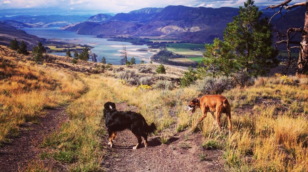Sky meets mountain meets water makes for a beauty view #colorful #canada