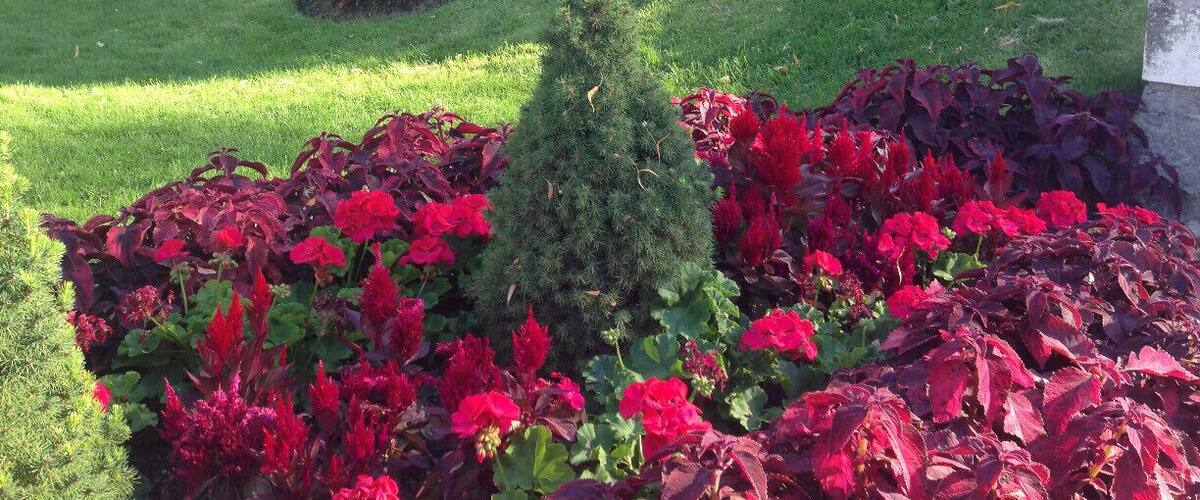 View of the gardens outside the court house was so beautiful.