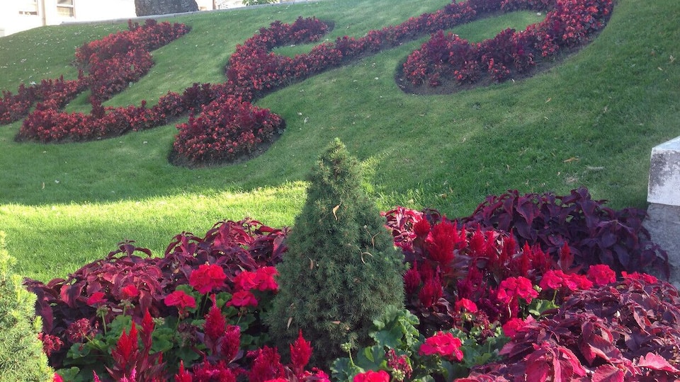 View of the gardens outside the court house was so beautiful.